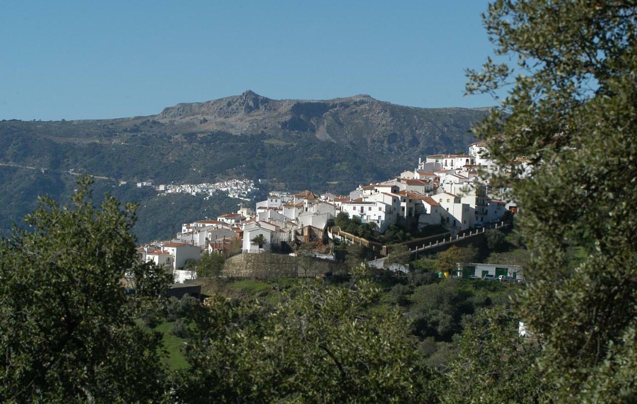 La Marikilla Apartment Jubrique Bagian luar foto